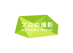 プロの撮影